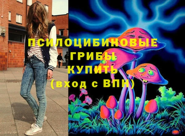 трава Верхнеуральск