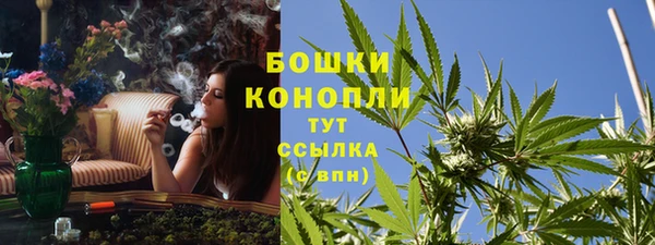трава Верхнеуральск