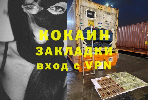 индика Анива