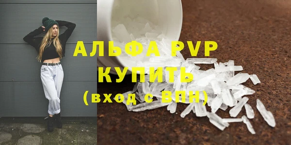 молекула духа Алапаевск
