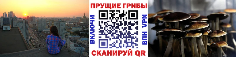 Галлюциногенные грибы MAGIC MUSHROOMS наркота Вытегра